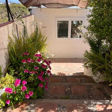 La Penita - Sunny Guesthouse With Private Pool And Garden Салобренья Екстер'єр фото